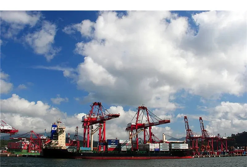LEOPARD Container Ship IMO 9144146