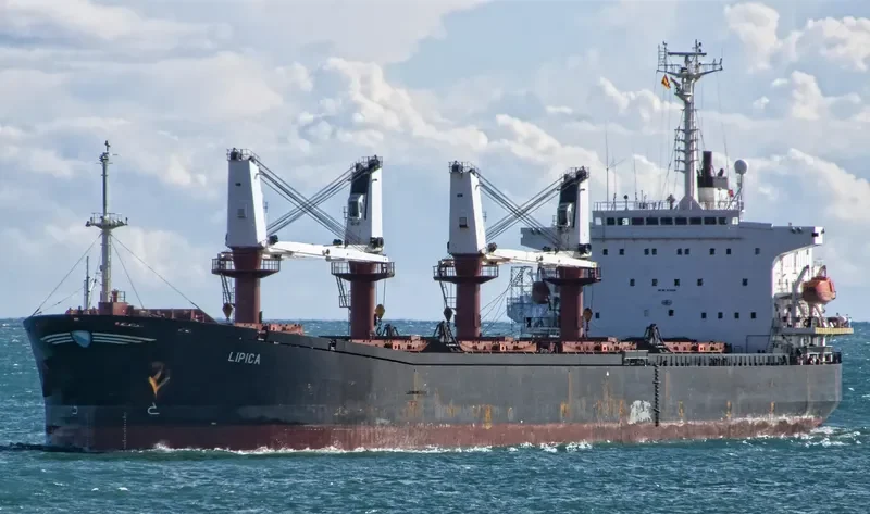 LIPICA Bulk Carrier IMO 9144299 photo 6