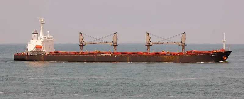 LIPICA Bulk Carrier IMO 9144299 photo 7