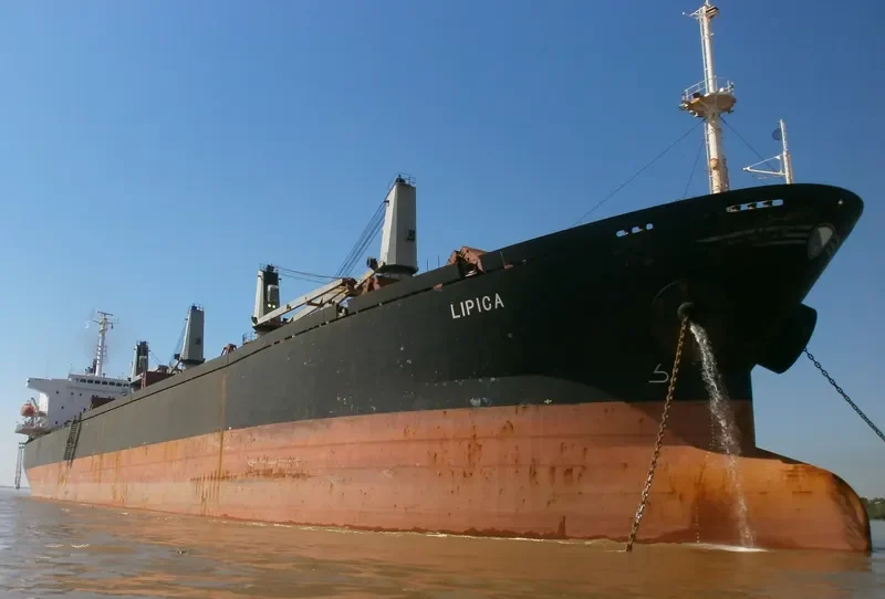 LIPICA Bulk Carrier IMO 9144299 photo 8