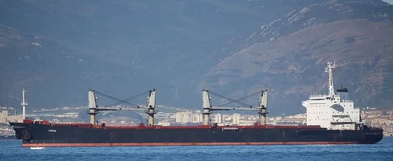 LIPICA Bulk Carrier IMO 9144299 photo 9