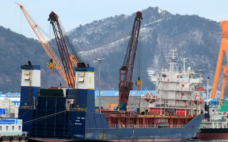 BALE Ro-Ro IMO 9144445 photo 10