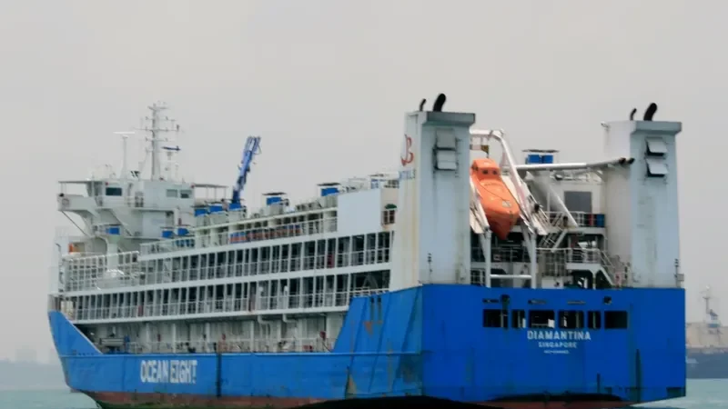 DIAMANTINA General Cargo IMO 9144469 photo 2