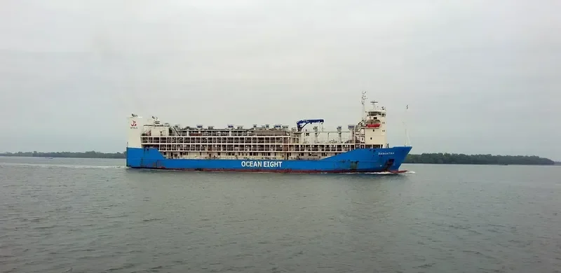 DIAMANTINA General Cargo IMO 9144469 photo 4