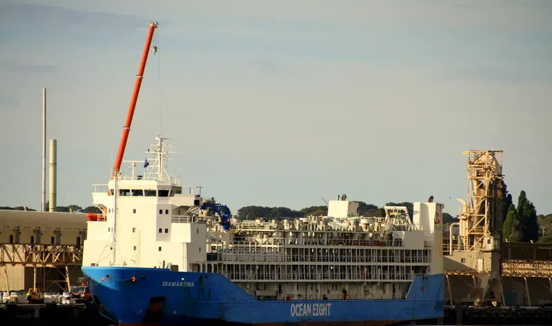 DIAMANTINA General Cargo IMO 9144469 photo 10