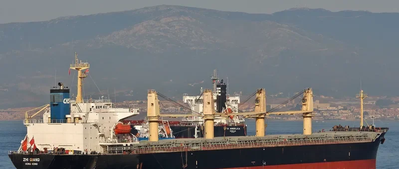 ZHI QIANG Bulk Carrier IMO 9144483 photo 3