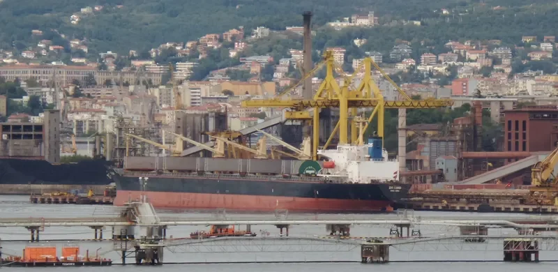 ZHI QIANG Bulk Carrier IMO 9144483 photo 9