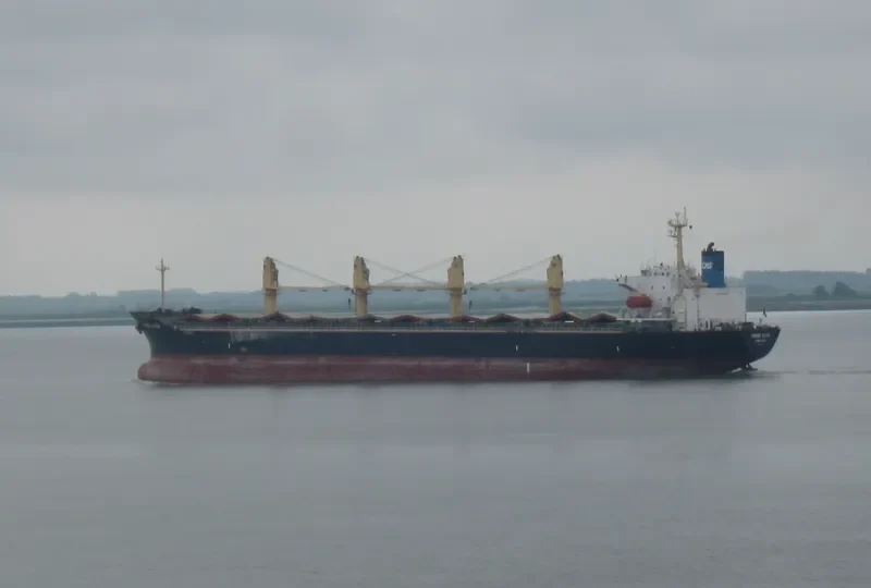 SHENG QIANG Bulk Carrier IMO 9144536 photo 8