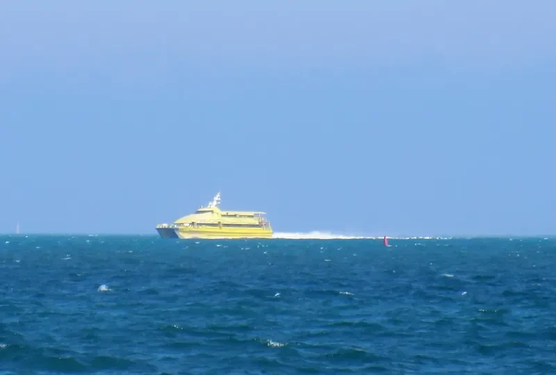 SOCHI 1 Passenger Ship IMO 9144976 photo 6