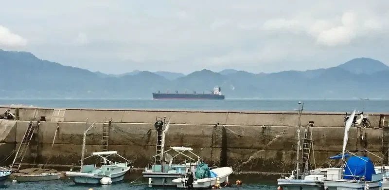 GODSPEED 6666 Bulk Carrier IMO 9145035