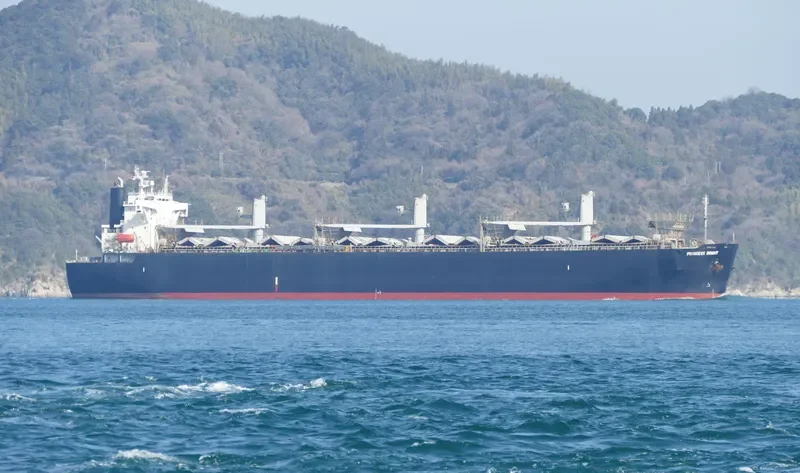 GODSPEED 6666 Bulk Carrier IMO 9145035 photo 2