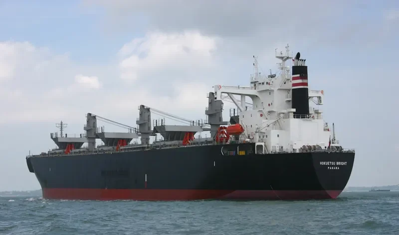 GODSPEED 6666 Bulk Carrier IMO 9145035 photo 5