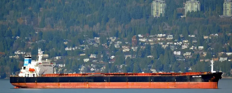 XIN HAI ZHOU 71 Bulk Carrier IMO 9145059