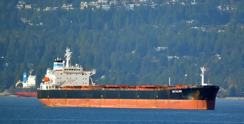 XIN HAI ZHOU 71 Bulk Carrier IMO 9145059 photo 2