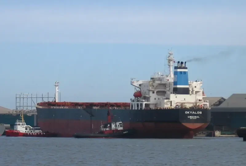 XIN HAI ZHOU 71 Bulk Carrier IMO 9145059 photo 4