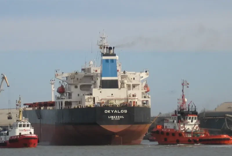 XIN HAI ZHOU 71 Bulk Carrier IMO 9145059 photo 5