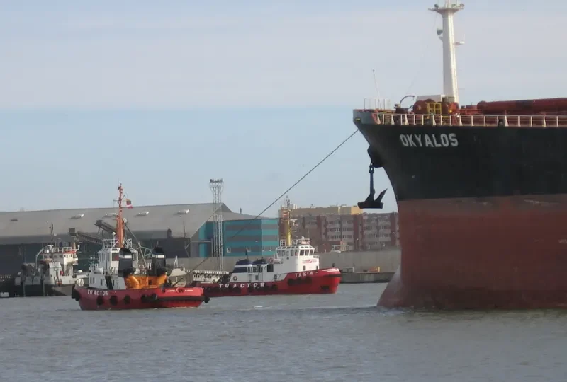 XIN HAI ZHOU 71 Bulk Carrier IMO 9145059 photo 6