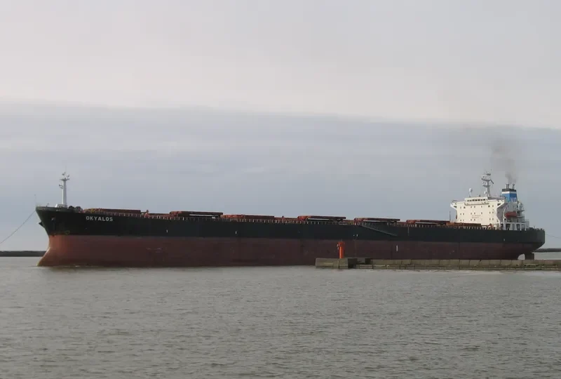 XIN HAI ZHOU 71 Bulk Carrier IMO 9145059 photo 7