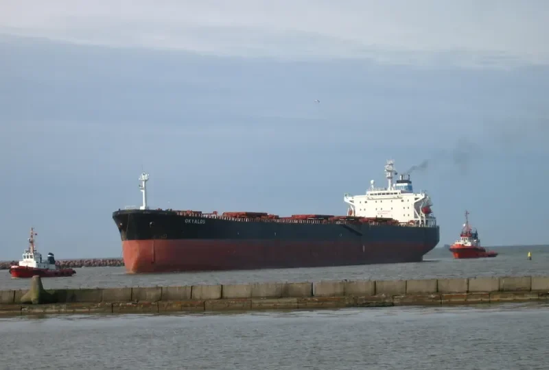 XIN HAI ZHOU 71 Bulk Carrier IMO 9145059 photo 8