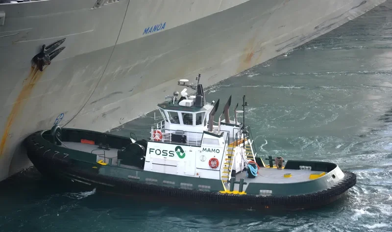 MAMO General Cargo IMO 9145190