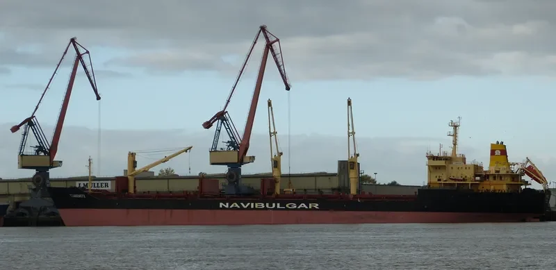 TZAREVETZ Bulk Carrier IMO 9145229 photo 5