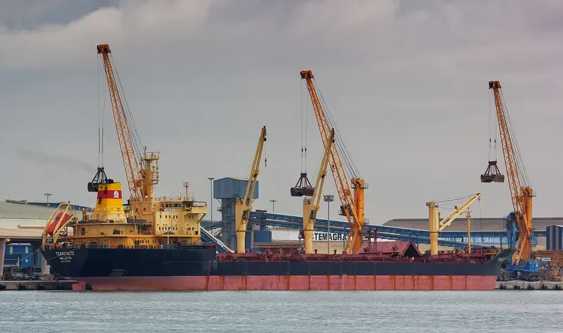 TZAREVETZ Bulk Carrier IMO 9145229 photo 10