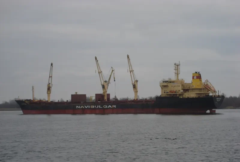 TZAREVNA Bulk Carrier IMO 9145231 photo 2