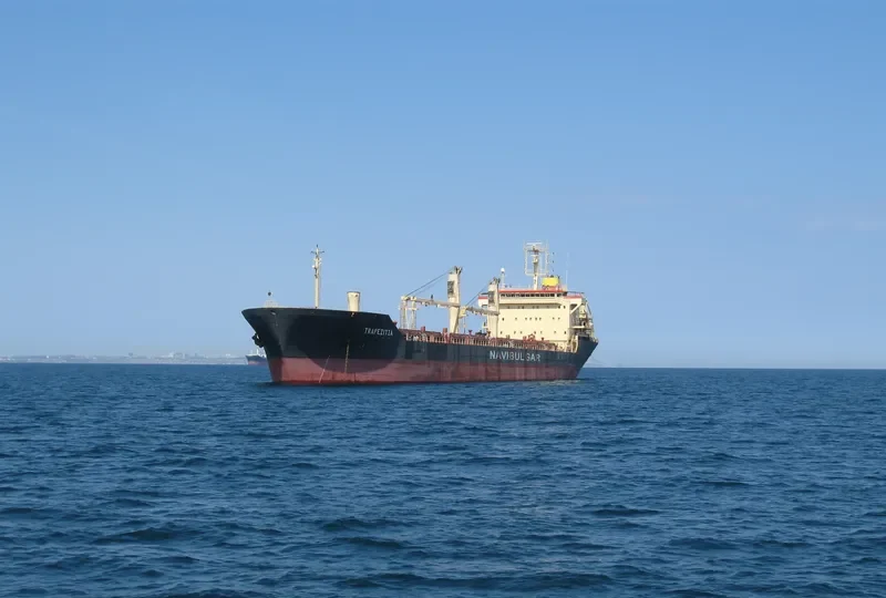 TZAREVNA Bulk Carrier IMO 9145231 photo 8