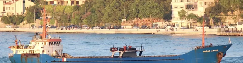 EMINE ANNE General Cargo IMO 9145360 photo 10