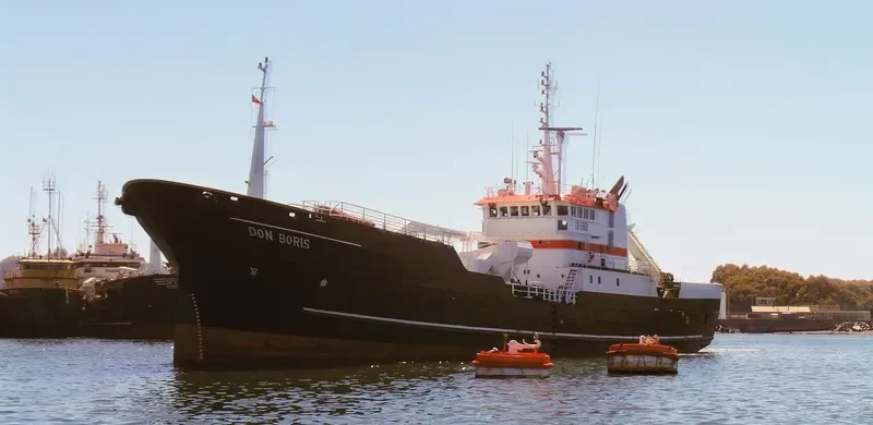 DON BORIS General Cargo IMO 9145504 photo 2
