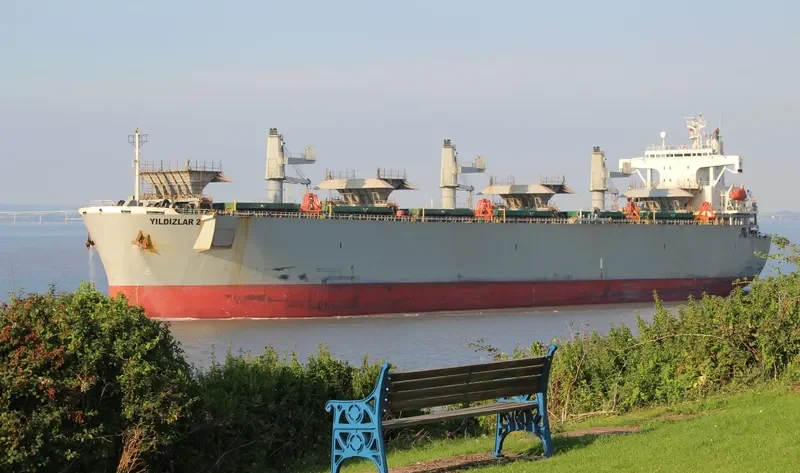 YILDIZLAR 2 Bulk Carrier IMO 9145695 photo 2