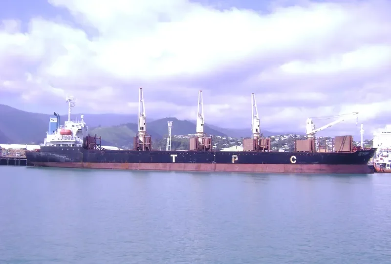 BAO NENG Bulk Carrier IMO 9145712 photo 5