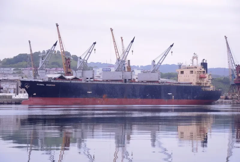 GLOBAL DIAMOND Bulk Carrier IMO 9145774 photo 2