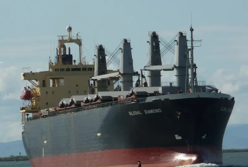 GLOBAL DIAMOND Bulk Carrier IMO 9145774 photo 6