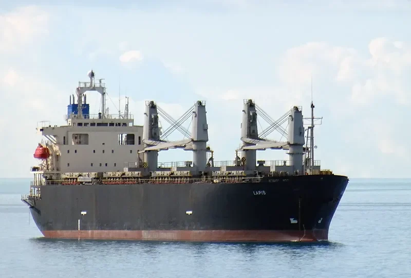 LEROS I Bulk Carrier IMO 9145786 photo 6