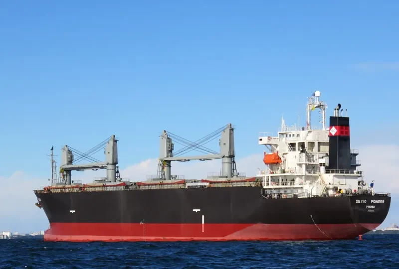 SEIYO PIONEER Bulk Carrier IMO 9145798