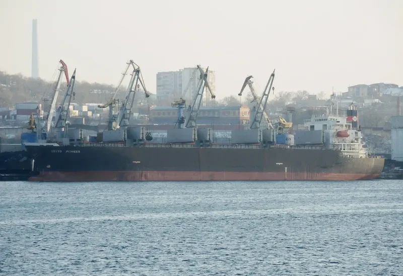 SEIYO PIONEER Bulk Carrier IMO 9145798 photo 2