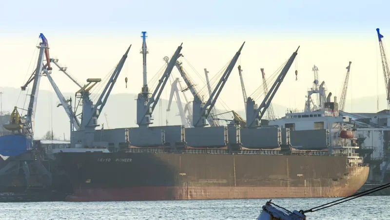 SEIYO PIONEER Bulk Carrier IMO 9145798 photo 4