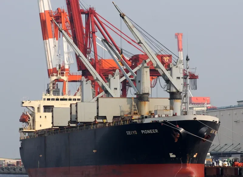 SEIYO PIONEER Bulk Carrier IMO 9145798 photo 6