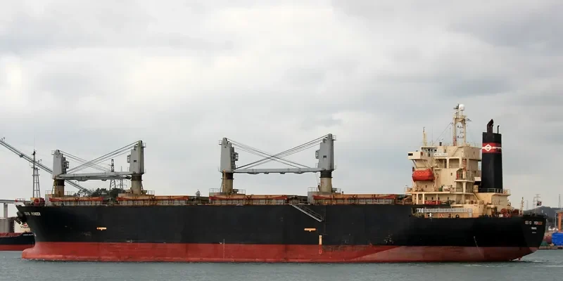 SEIYO PIONEER Bulk Carrier IMO 9145798 photo 8