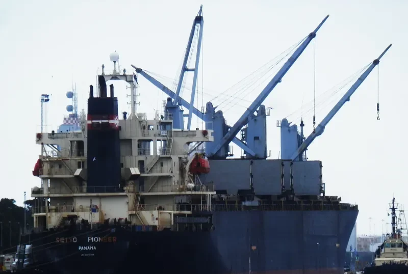 SEIYO PIONEER Bulk Carrier IMO 9145798 photo 10