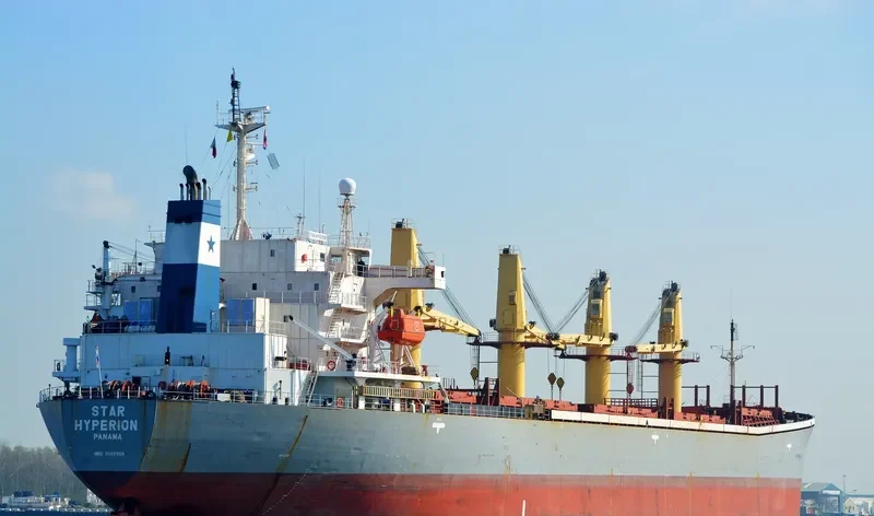 BR VICTORY Bulk Carrier IMO 9145956