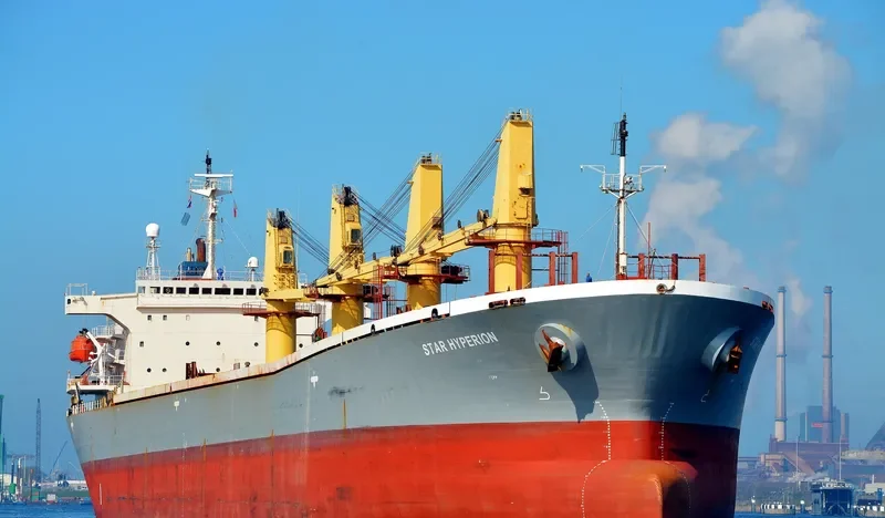 BR VICTORY Bulk Carrier IMO 9145956 photo 3