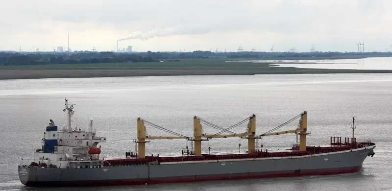 BR VICTORY Bulk Carrier IMO 9145956 photo 4