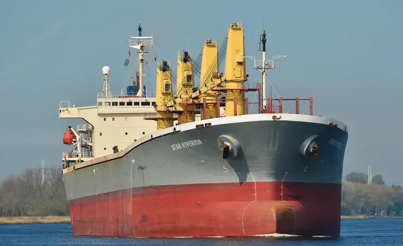 BR VICTORY Bulk Carrier IMO 9145956 photo 6