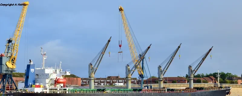EFI THEO Bulk Carrier IMO 9145982