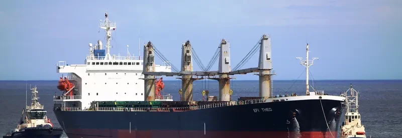 EFI THEO Bulk Carrier IMO 9145982 photo 3