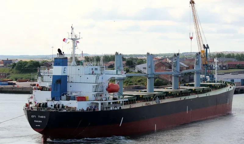 EFI THEO Bulk Carrier IMO 9145982 photo 6