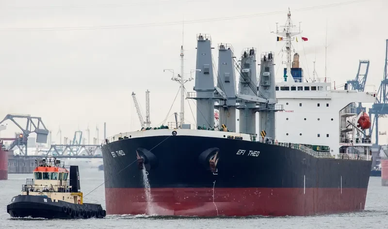 EFI THEO Bulk Carrier IMO 9145982 photo 9