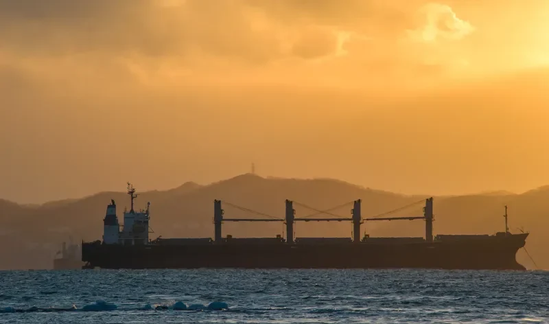 CONFIDENCE OCEAN Bulk Carrier IMO 9145994 photo 3